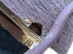 A chewed hole in siding caused by squirrels.