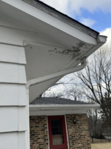 Rotted and squirrel chewed soffit boards on a home.